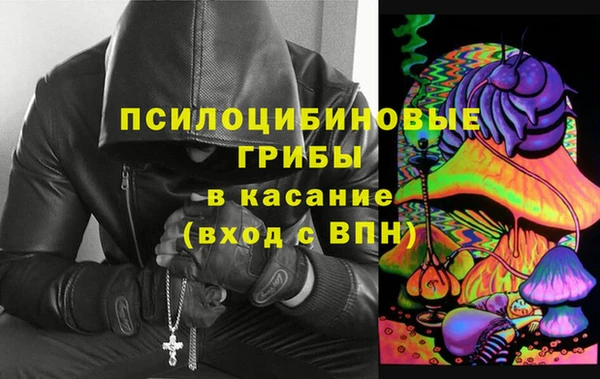 ПСИЛОЦИБИНОВЫЕ ГРИБЫ Кинешма