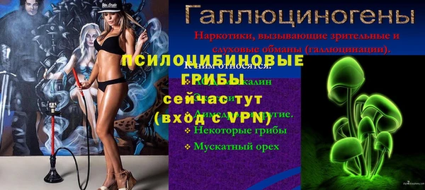 Альфа ПВП Козловка